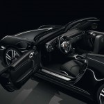 2011 Porsche Black Edition Door Sills