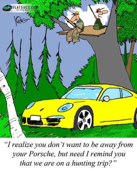 Porsche Cartoon 2nd week of June